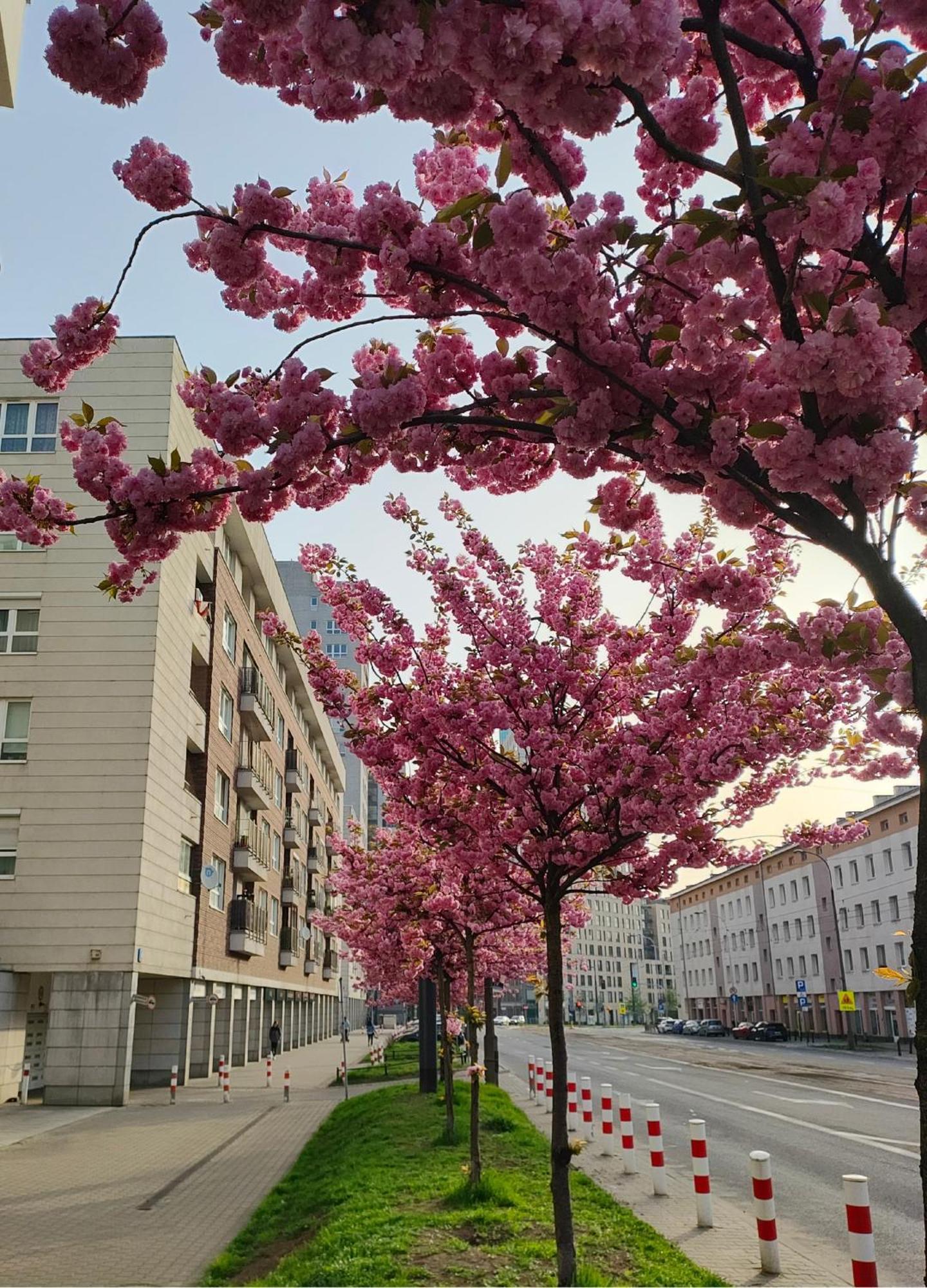 Totutotam Apartman Varsó Kültér fotó